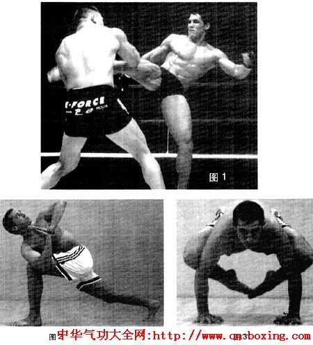 ���սʿ����