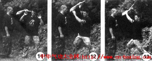 �����ޱȵ���ɫ�и���