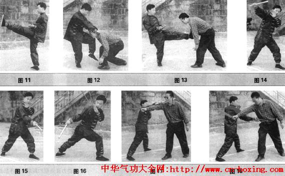 �̹���ɱ����