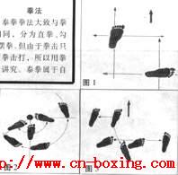 ̩ȭ�����������