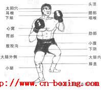 ̩ȭ�����������