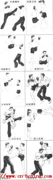 �Ŵ�̩ȭ���ֲ�����Դ