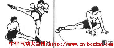 ̩ȭ�ȹ�����ѵ����