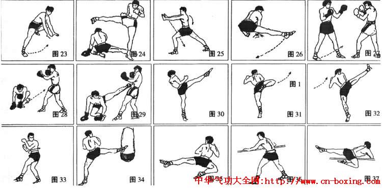 ̩ȭ�ȹ�����ѵ����