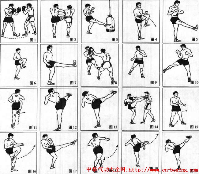 ̩ȭ�ȹ�����ѵ����