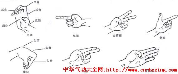 �ֽŽ�����