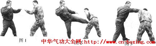 �����񶷱�ɱ����