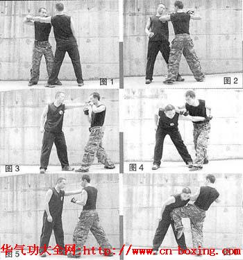 ���ֱ������