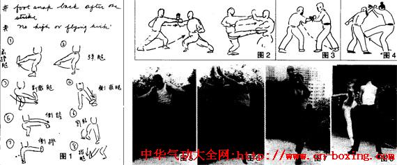 ��С���۸�����ѵ��������