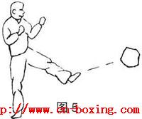 �������ȹ�