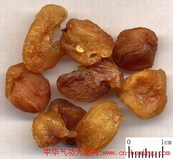 治近视的秘方!1000度近视降到只有200度