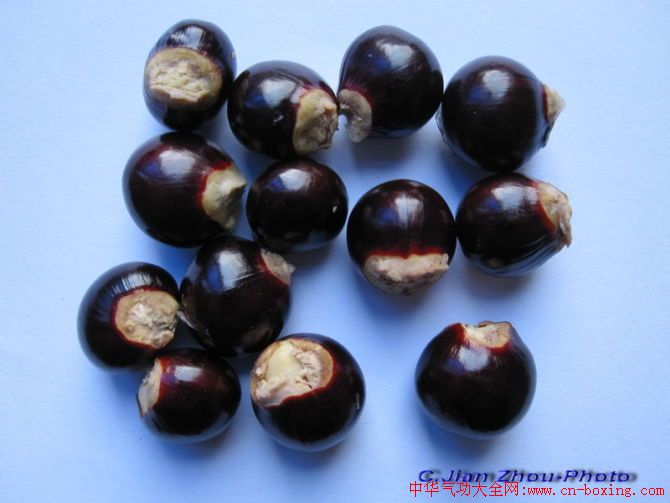 治近视的秘方!1000度近视降到只有200度