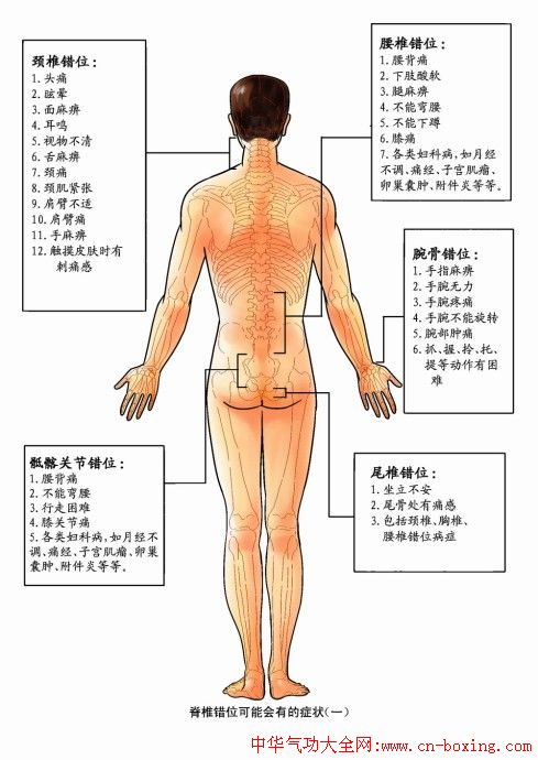 自我检查脊椎骨的正确位置