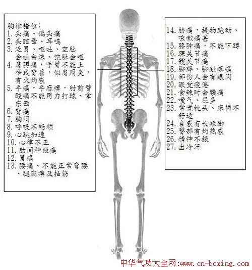 自我检查脊椎骨的正确位置