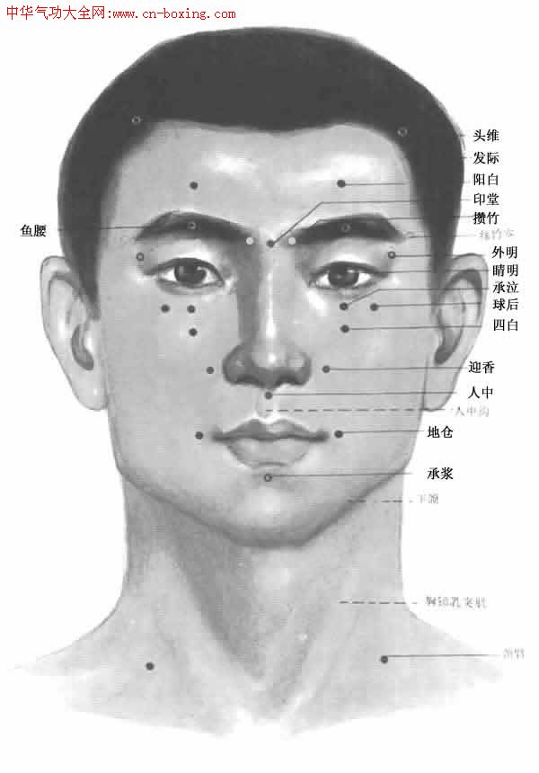 ����Ѩλ��ͼ