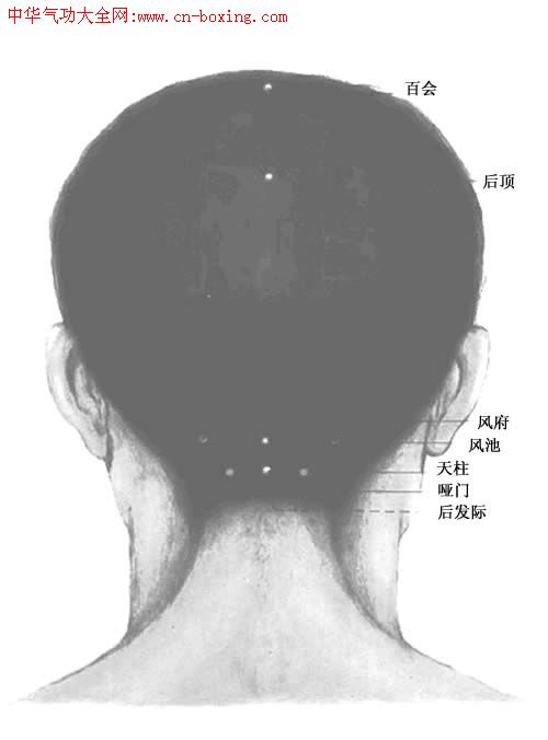 ����Ѩλ��ͼ