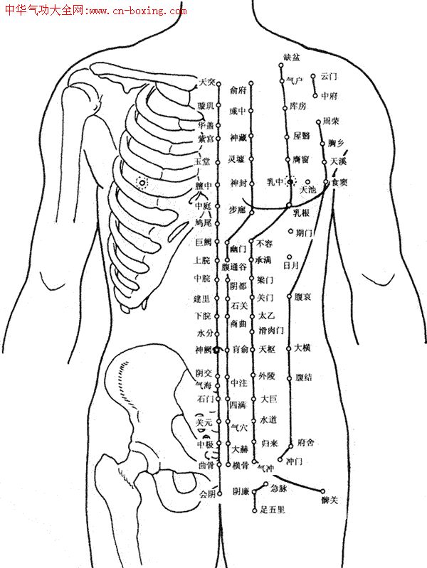 ����Ѩλ��ͼ