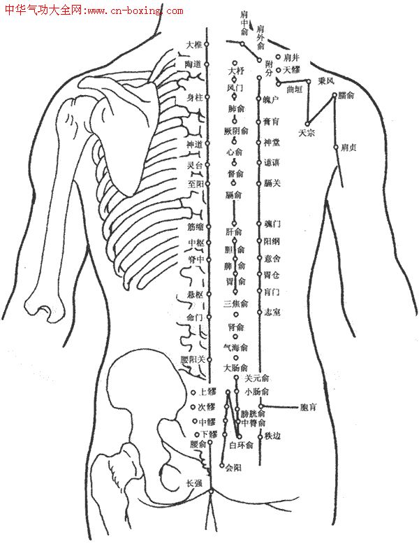 ����Ѩλ��ͼ