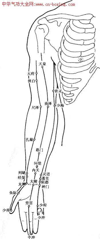 ����Ѩλ��ͼ