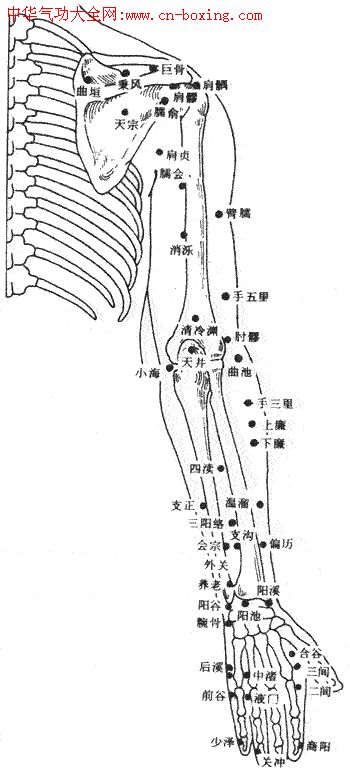 ����Ѩλ��ͼ