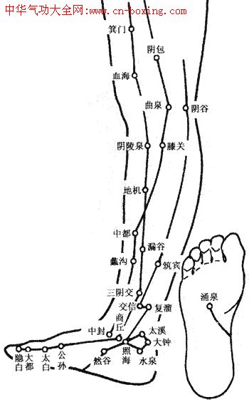 ����Ѩλ��ͼ