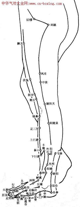 ����Ѩλ��ͼ