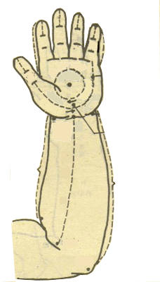 ����Ѩλ��ͼ