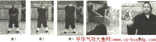 �䵱�ش�����׮