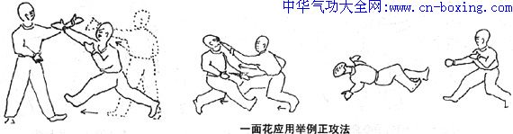 ��üȭ��ʽ����Ӧ��ԭ��-������