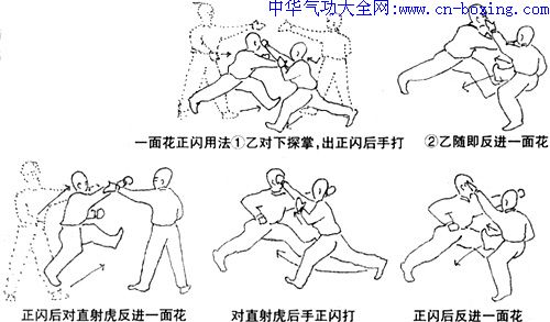 ��üȭ��ʽ����Ӧ��ԭ��-������