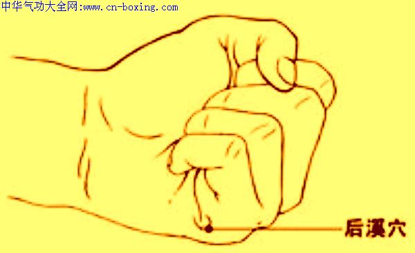 后溪穴-振奋你一身的阳气