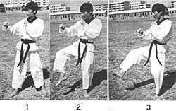 ��ȭ���������߻���������