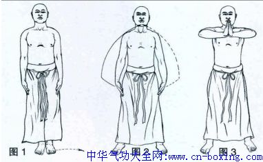 �����޺�ȭʮ����ͼ��-��Ϊի����