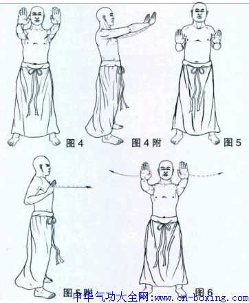 �����޺�ȭʮ����ͼ��-��Ϊի����