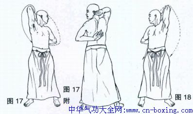 �����޺�ȭʮ����ͼ��-��Ϊի����