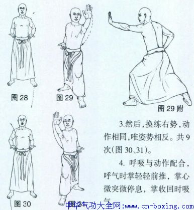 �����޺�ȭʮ����ͼ��-��Ϊի����