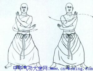 �����޺�ȭʮ����ͼ��-��Ϊի����