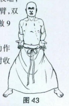 �����޺�ȭʮ����ͼ��-��Ϊի����