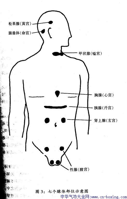 ¹��  �׹�  �깦