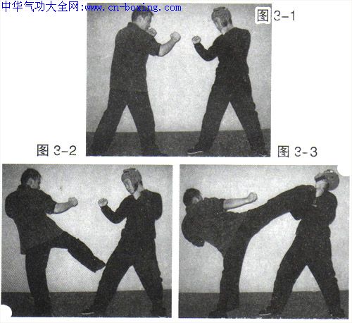 ��ȭ���ȷ����������-������