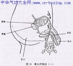������й��ѵ������