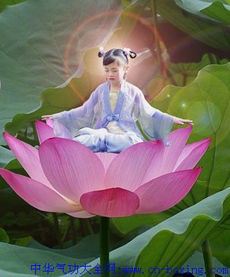 ˫�̵ĺô����ٳɷ�