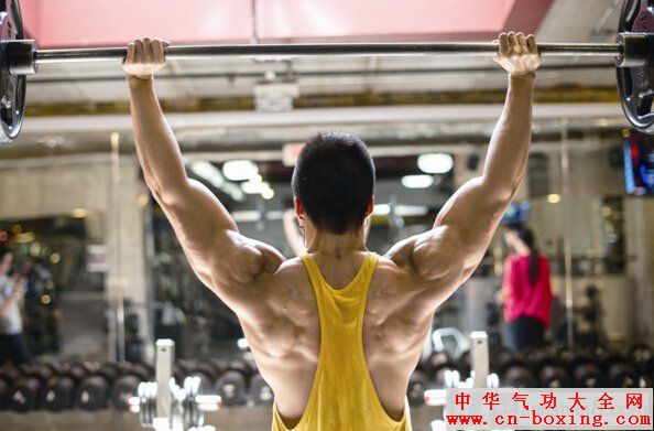 ��������Alexѵ���ƻ�,�ŵ�ѵ��&ldquo;����&rdquo;����