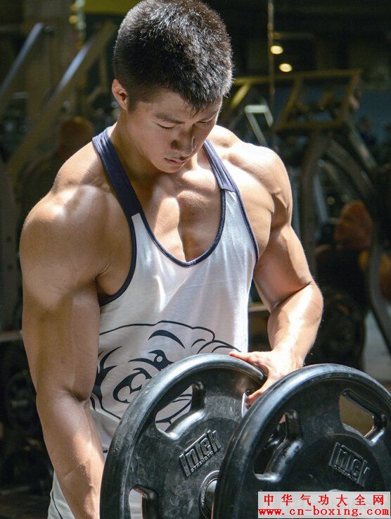 ��������Alexѵ���ƻ�,�ŵ�ѵ��&ldquo;����&rdquo;����