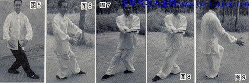 ���ϰ����ư��ζ�ʮ��Сʽ�����Ρ�����