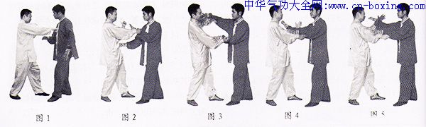 ���ȭ�ۺϸ���-��� ����ɽ