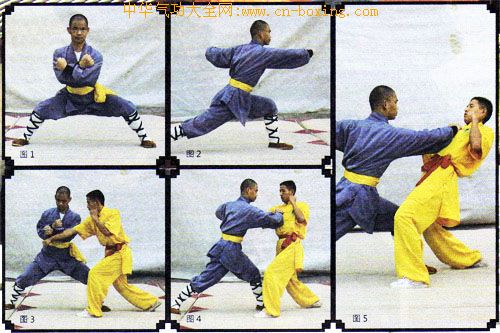 ����ȭ������ʮ��ʽ���ϣ�-����