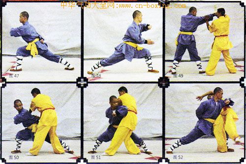 ����ȭ������ʮ��ʽ���ϣ�-����