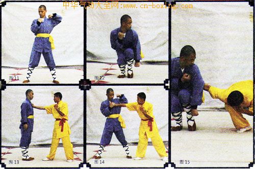 ����ȭ������ʮ��ʽ���ϣ�-����