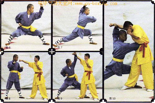 ����ȭ������ʮ��ʽ���ϣ�-����